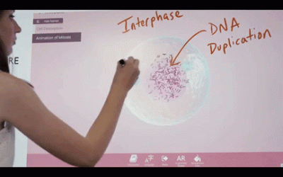 How Windows Ink and ScreenBeam Create Interactive Classrooms